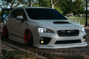 Subaru WRX STI Circuit Board - Diode Dynamics - C-Light Switchback LED - `15-`21 Subaru WRX STI Circuit Board - Diode Dynamics - C-Light Switchback LED - `15-`21